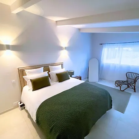 Villa Superbe Mazet Provençal Rénové Nîmes